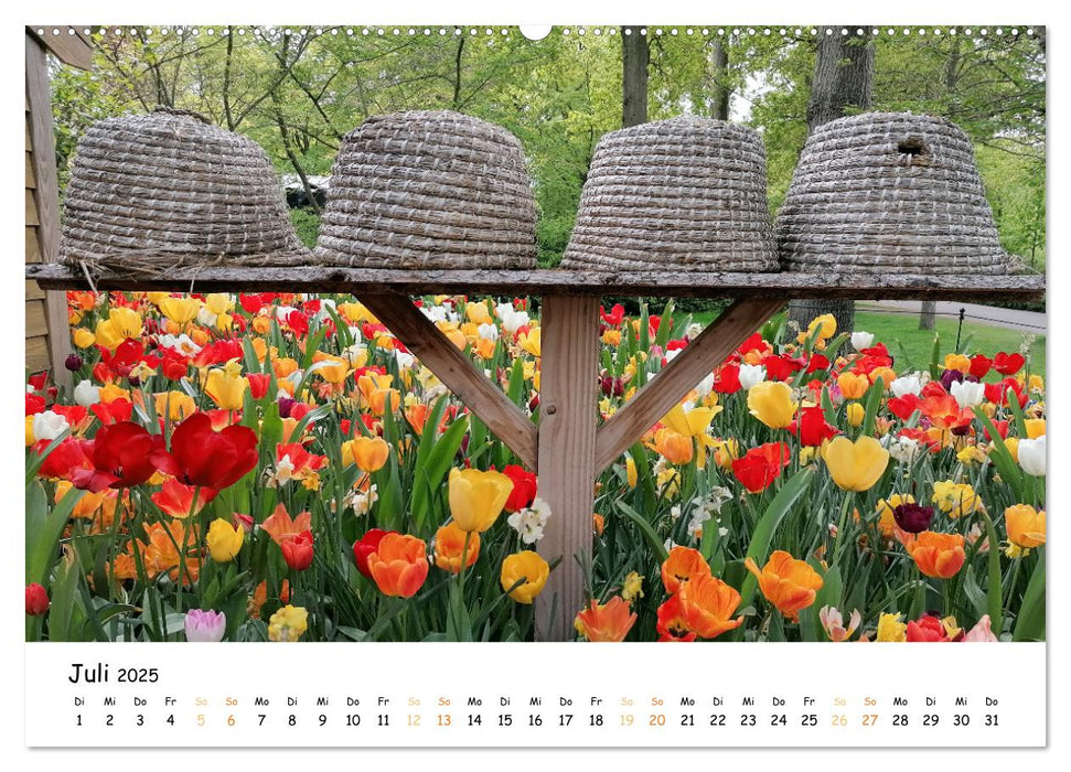 Auf Tour im Land der Tulpen (CALVENDO Premium Wandkalender 2025)