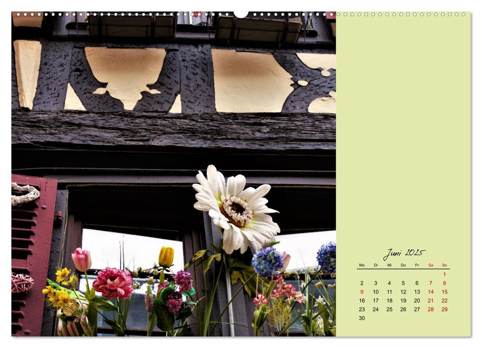 Fassadenrausch in Colmar (CALVENDO Premium Wandkalender 2025)