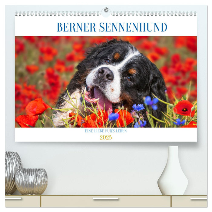 Berner Sennenhund - Eine Liebe für´s Leben (CALVENDO Premium Wandkalender 2025)