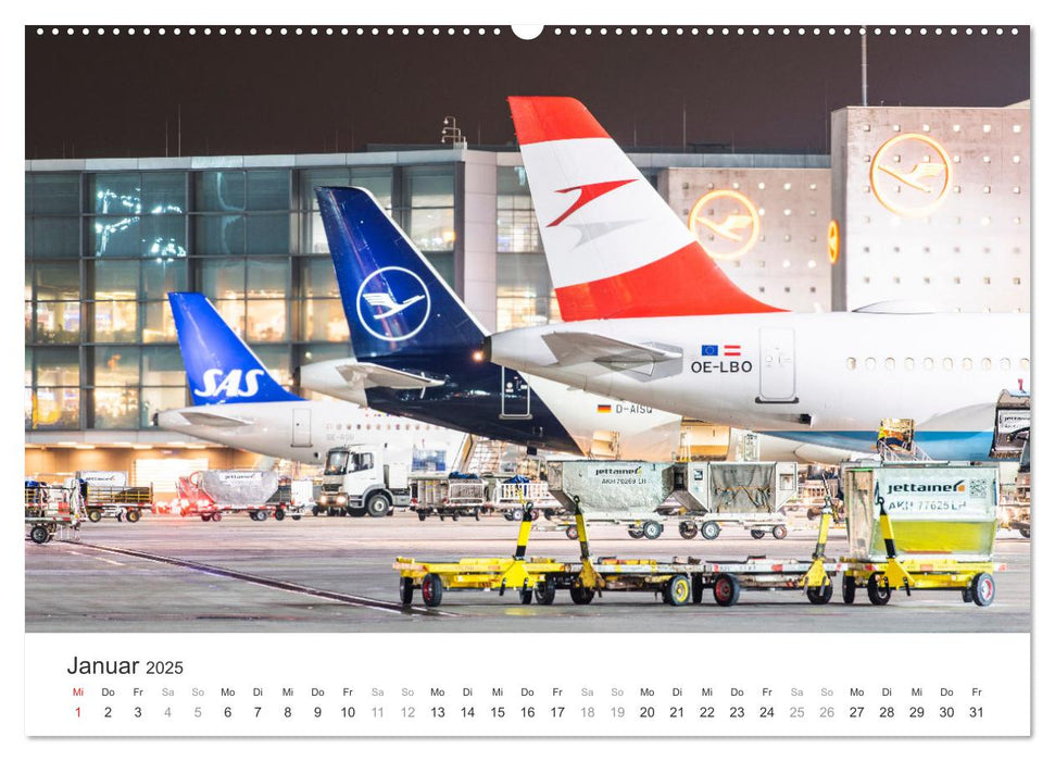 die FREIHEIT des FLIEGENS (CALVENDO Premium Wandkalender 2025)