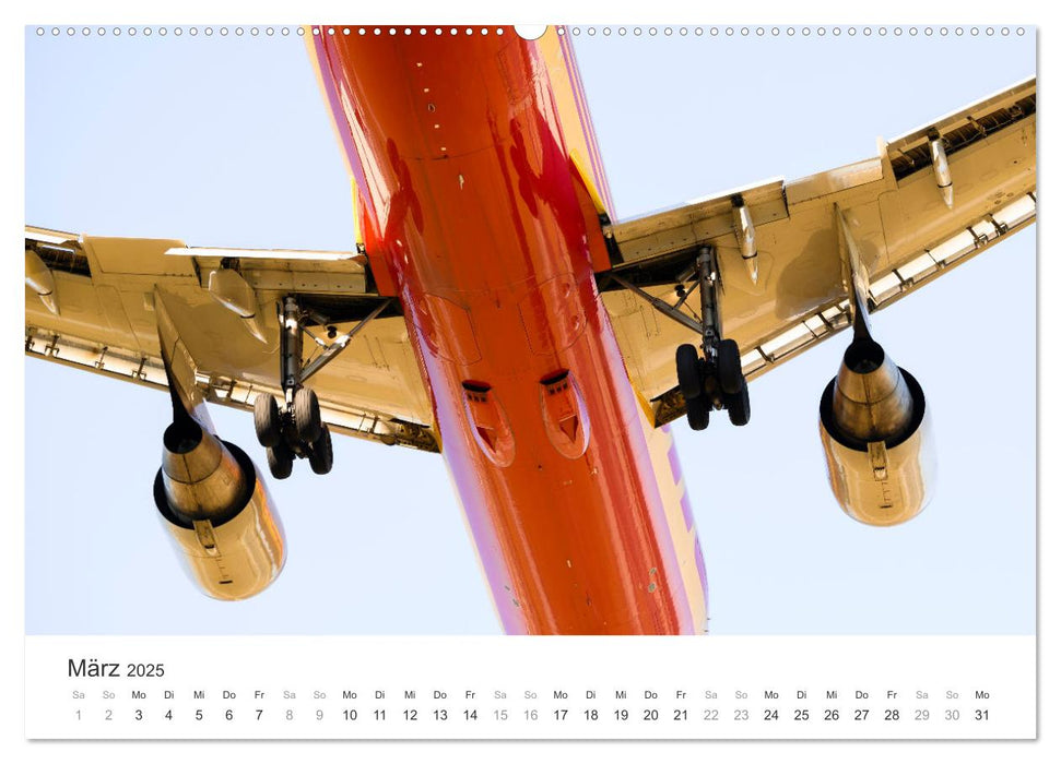 die FREIHEIT des FLIEGENS (CALVENDO Premium Wandkalender 2025)