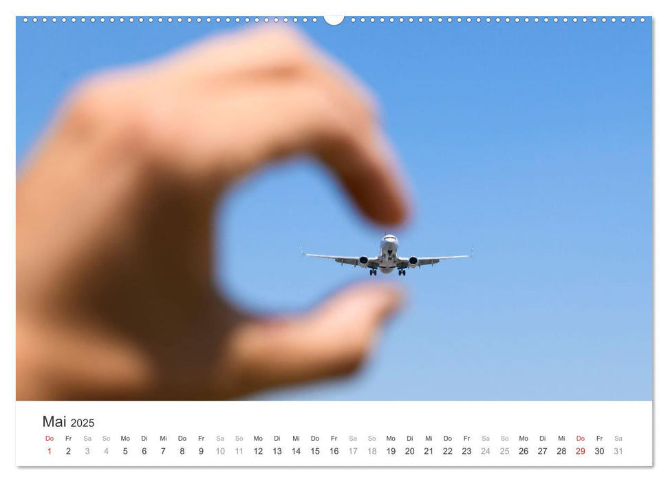 die FREIHEIT des FLIEGENS (CALVENDO Premium Wandkalender 2025)