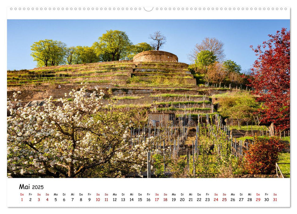 Asperg - Fotoimpressionen (CALVENDO Wandkalender 2025)