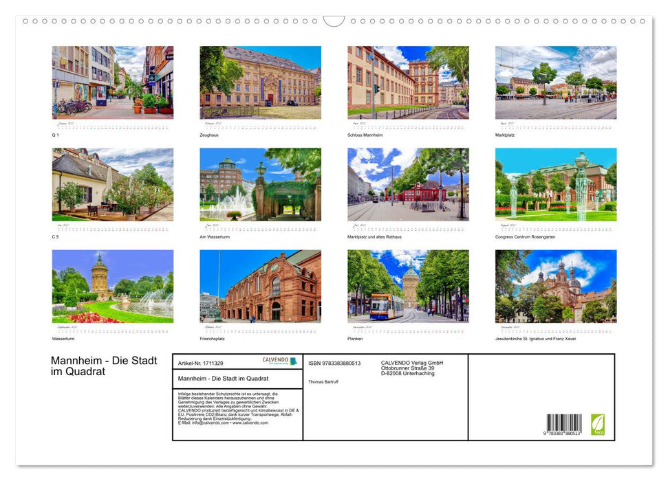 Mannheim - Die Stadt im Quadrat (CALVENDO Wandkalender 2025)