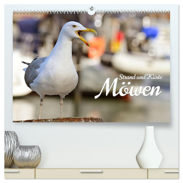 Strand und Küste - Möwen (CALVENDO Premium Wandkalender 2025)