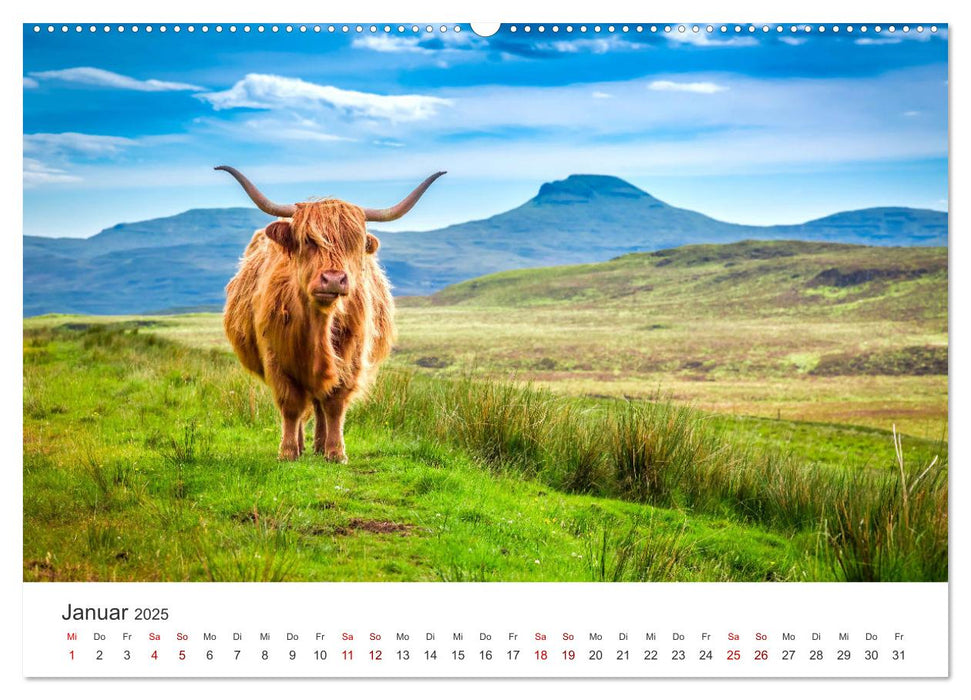 Insel Skye - Atemberaubende Naturkulisse (CALVENDO Premium Wandkalender 2025)