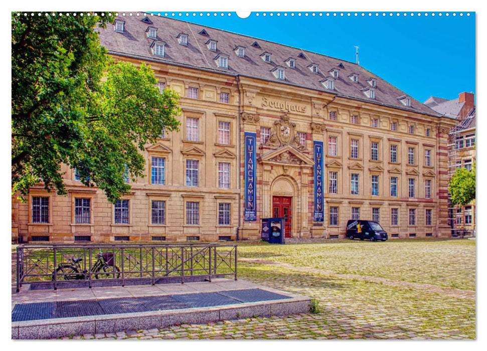 Mannheim - Die Stadt im Quadrat (CALVENDO Premium Wandkalender 2025)