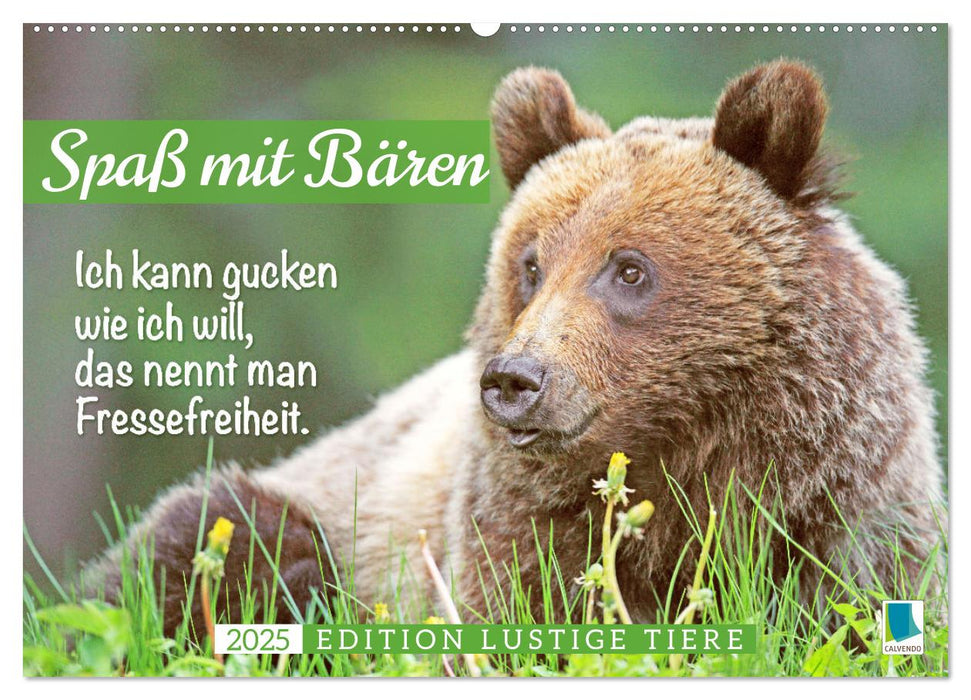 Spaß mit Bären: Edition lustige Tiere (CALVENDO Wandkalender 2025)