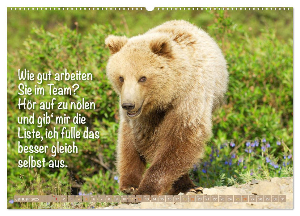 Spaß mit Bären: Edition lustige Tiere (CALVENDO Wandkalender 2025)