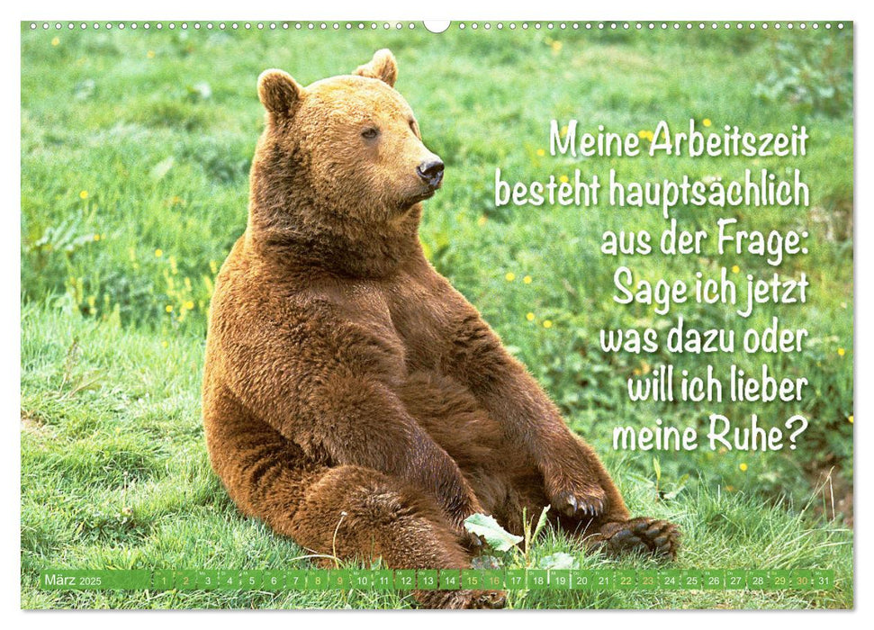 Spaß mit Bären: Edition lustige Tiere (CALVENDO Wandkalender 2025)