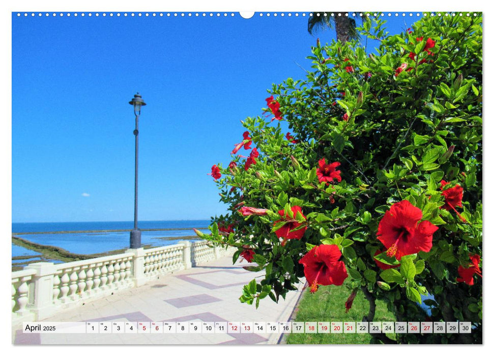 Entlang der Costa de la Luz (CALVENDO Premium Wandkalender 2025)