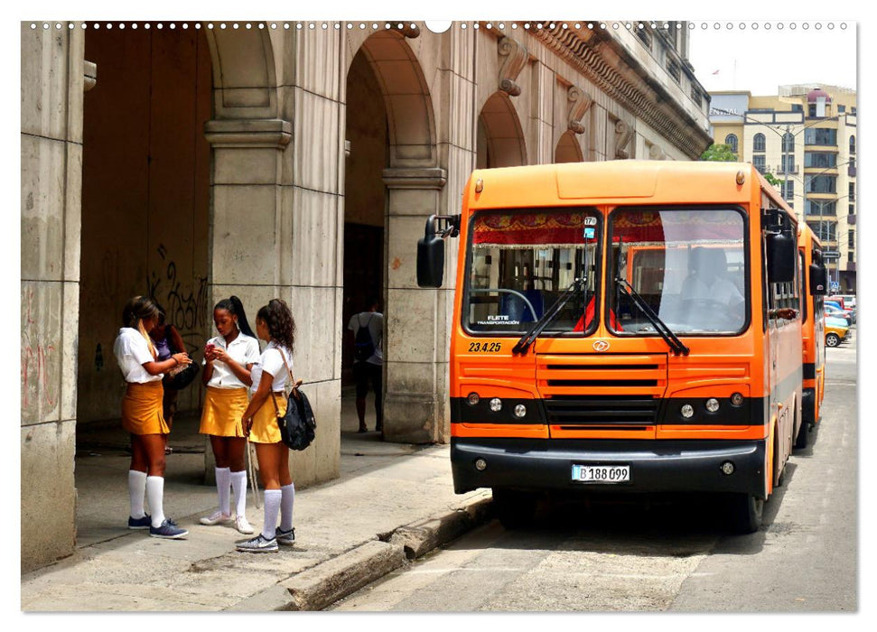 Autobus Diana - Kubas ganzer Stolz (CALVENDO Premium Wandkalender 2025)