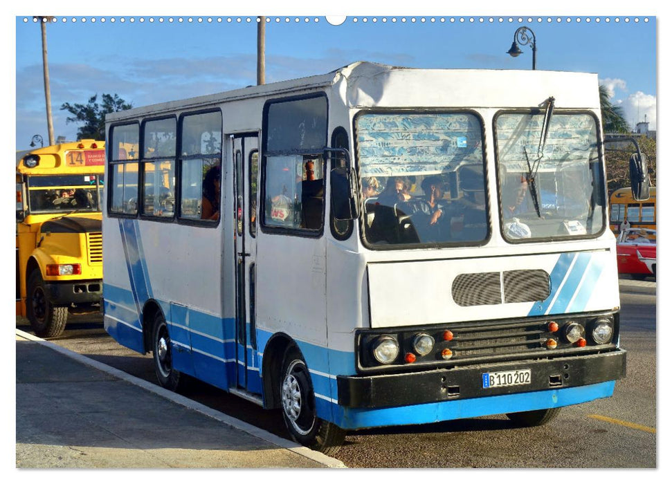 Autobus Diana - Kubas ganzer Stolz (CALVENDO Premium Wandkalender 2025)