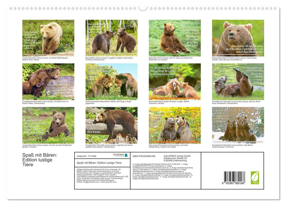 Spaß mit Bären: Edition lustige Tiere (CALVENDO Premium Wandkalender 2025)