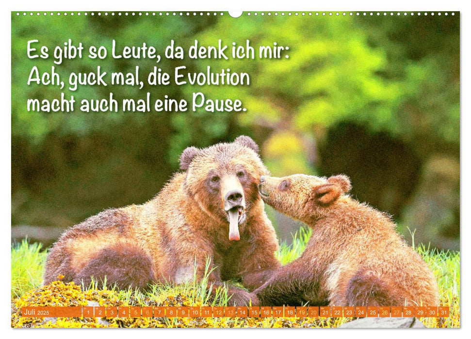 Spaß mit Bären: Edition lustige Tiere (CALVENDO Premium Wandkalender 2025)