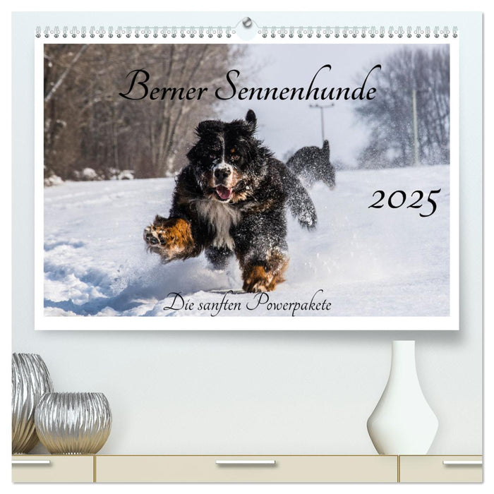 Berner Sennenhunde - Die sanften Powerpakete (CALVENDO Premium Wandkalender 2025)