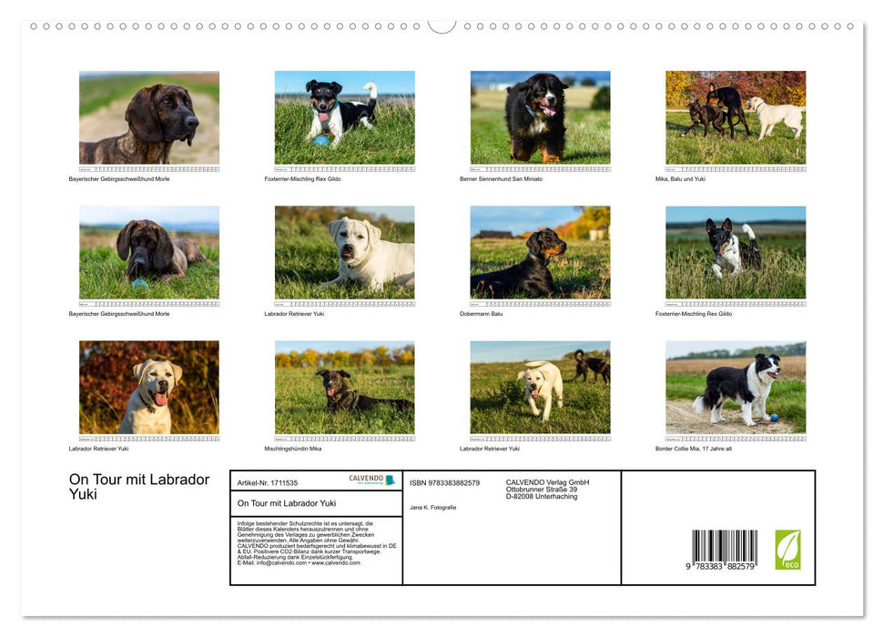 On Tour mit Labrador Yuki (CALVENDO Premium Wandkalender 2025)