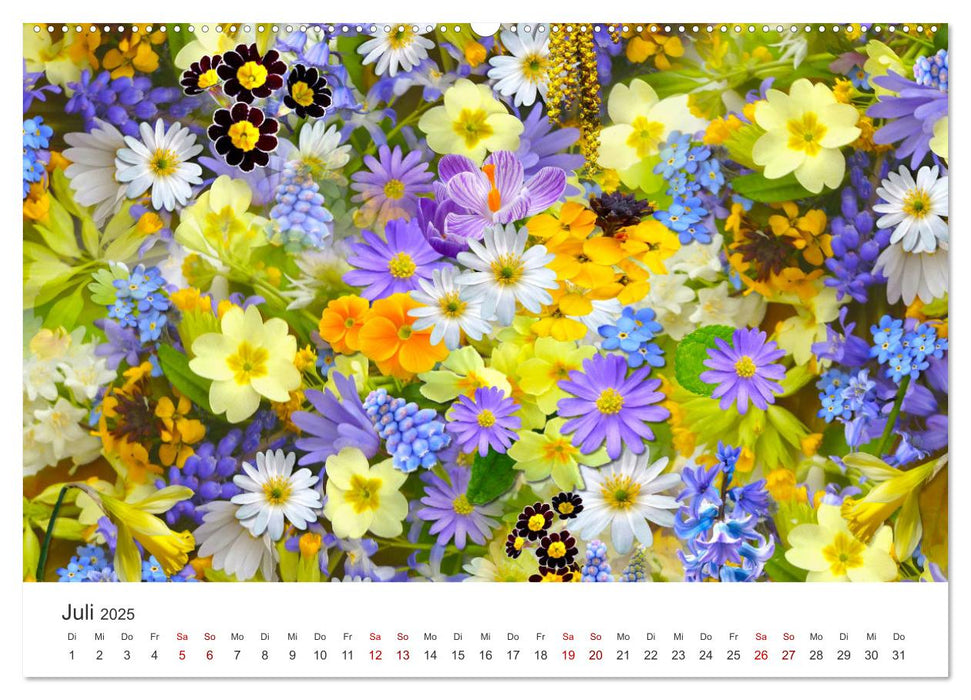 Die magische Welt der Blumen (CALVENDO Premium Wandkalender 2025)