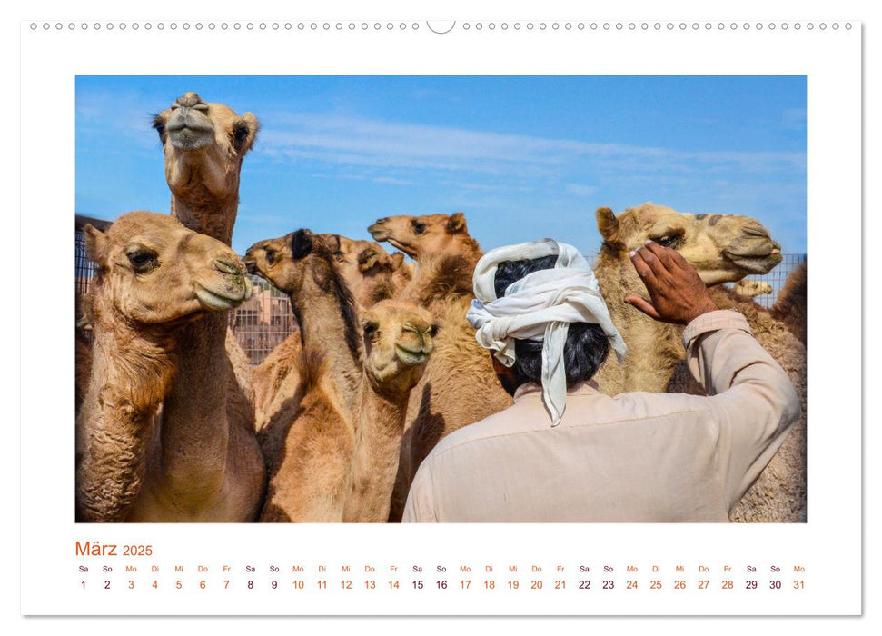 Urlaubsgefühle - mit Dromedaren unterwegs (CALVENDO Premium Wandkalender 2025)