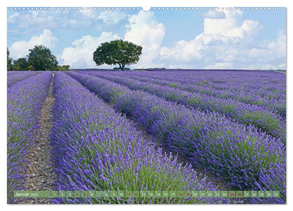 Der Duft von Lavendel (CALVENDO Wandkalender 2025)