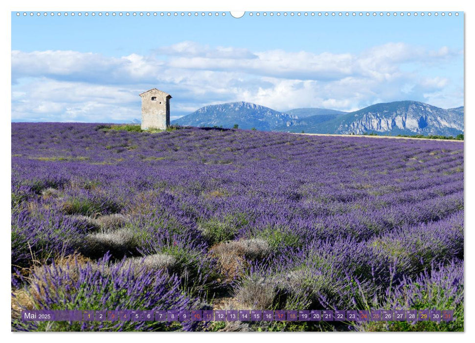 Der Duft von Lavendel (CALVENDO Wandkalender 2025)