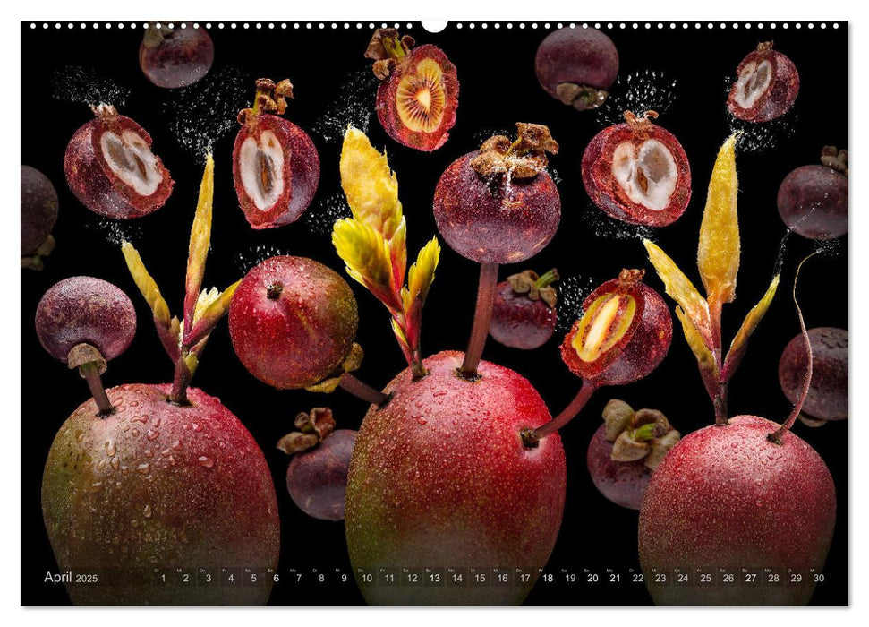 Fruta incognita - Die wundersame Welt des Fotografen Olaf Bruhn (CALVENDO Premium Wandkalender 2025)