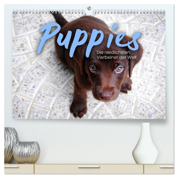 Puppies - Die niedlichsten Vierbeiner der Welt. (CALVENDO Premium Wandkalender 2025)