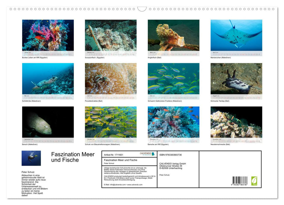 Faszination Meer und Fische (CALVENDO Wandkalender 2025)