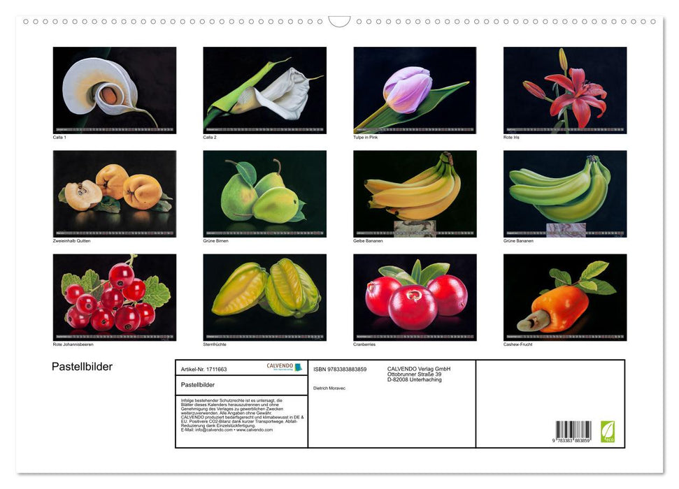 Pastellbilder (CALVENDO Wandkalender 2025)