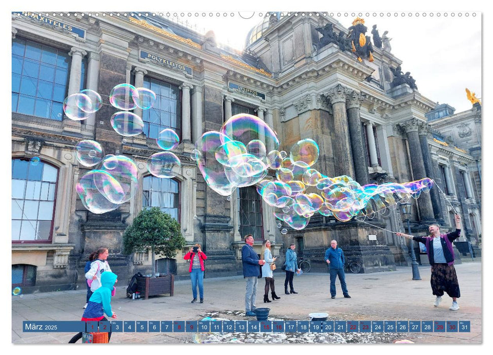 Dresden prachtvoll und verspielt (CALVENDO Premium Wandkalender 2025)