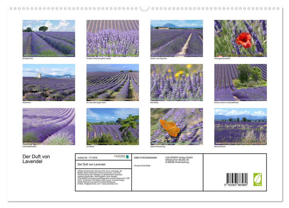 Der Duft von Lavendel (CALVENDO Premium Wandkalender 2025)