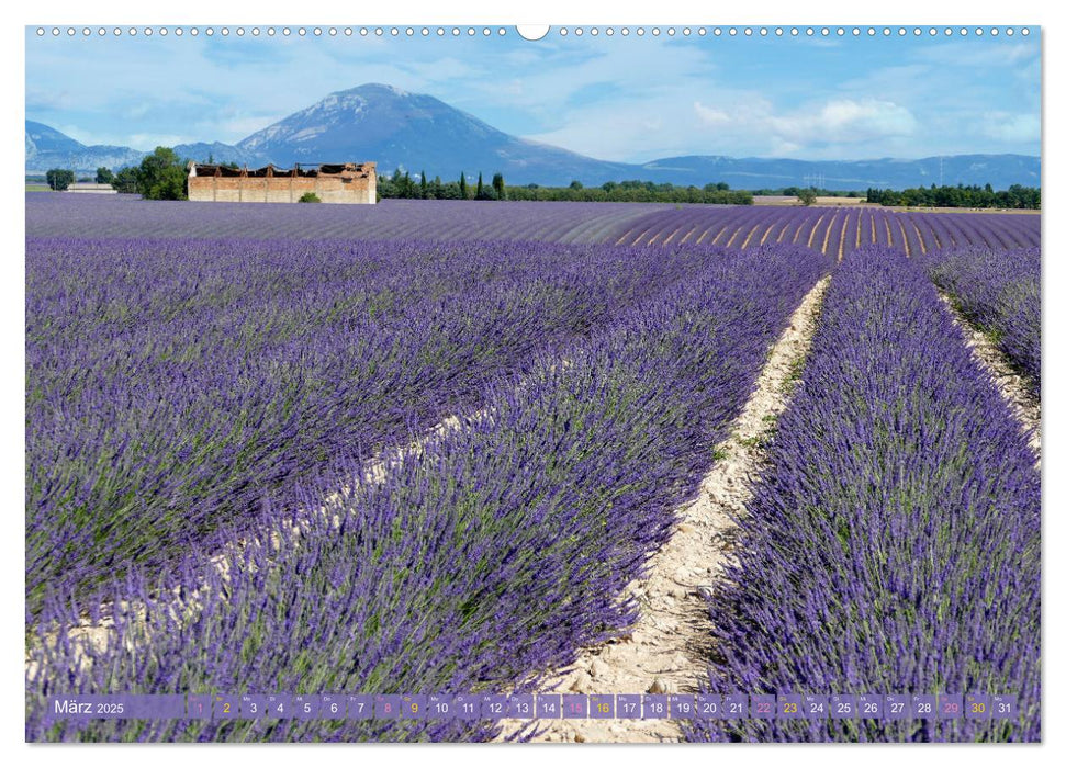 Der Duft von Lavendel (CALVENDO Premium Wandkalender 2025)