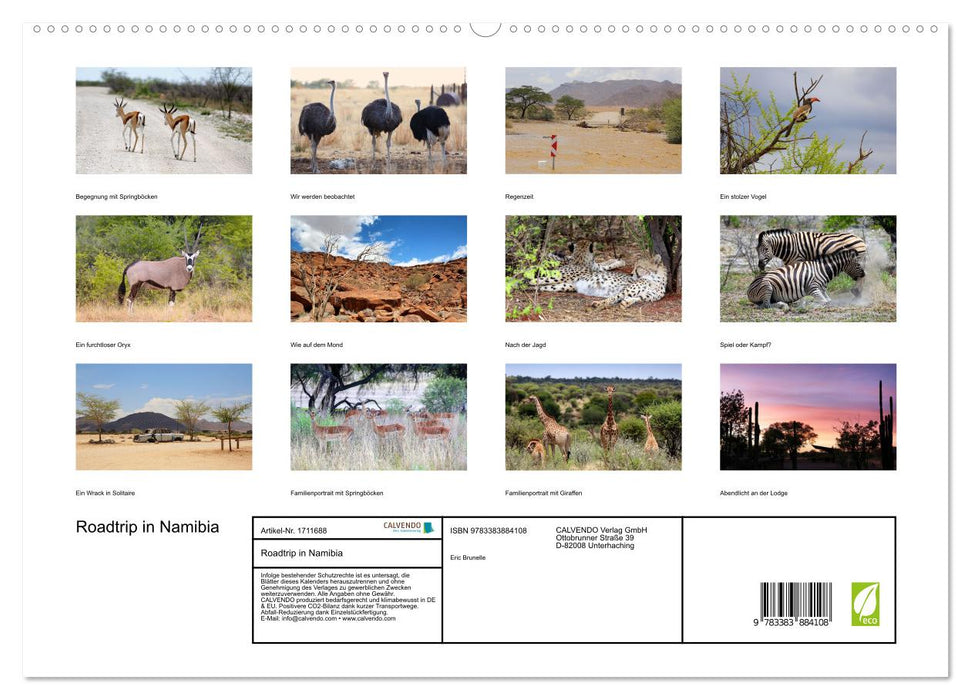 Roadtrip in Namibia (CALVENDO Premium Wandkalender 2025)