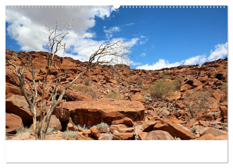 Roadtrip in Namibia (CALVENDO Premium Wandkalender 2025)