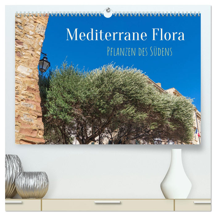 Mediterrane Flora - Pflanzen des Südens (CALVENDO Premium Wandkalender 2025)