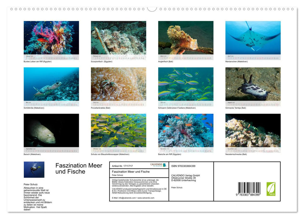 Faszination Meer und Fische (CALVENDO Premium Wandkalender 2025)