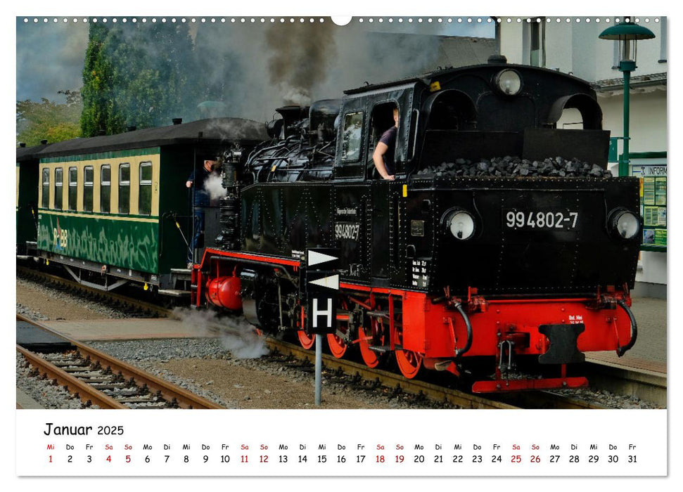 Rügens "rasender Roland" (CALVENDO Premium Wandkalender 2025)