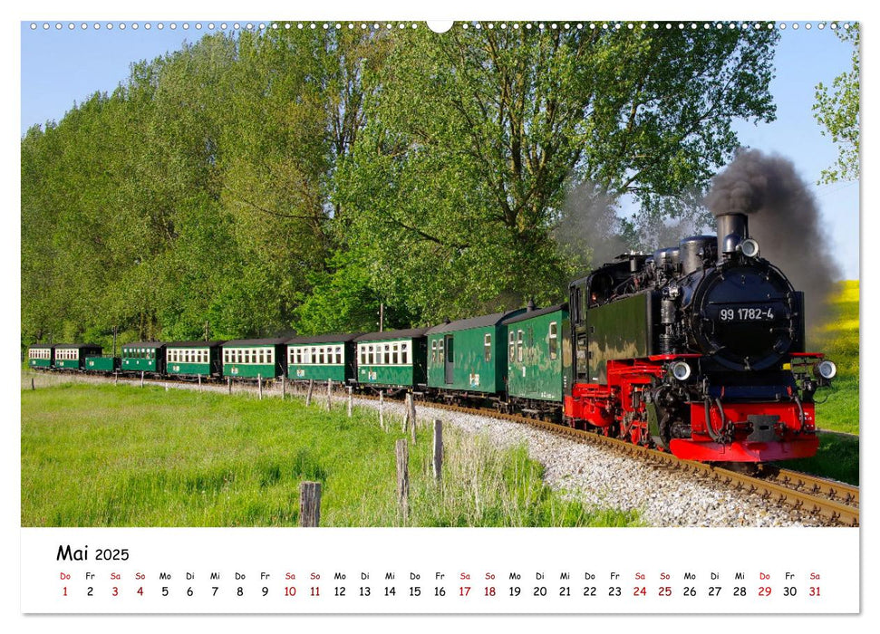 Rügens "rasender Roland" (CALVENDO Premium Wandkalender 2025)