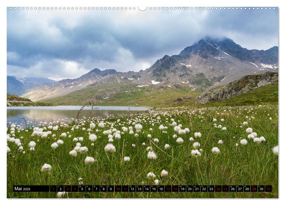 Vinschgau & Ortleralpen (CALVENDO Premium Wandkalender 2025)