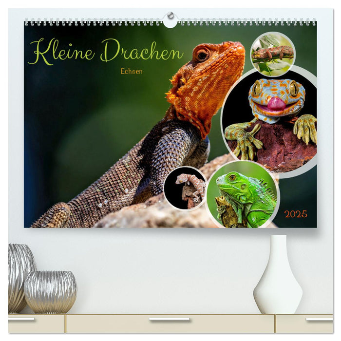 Kleine Drachen - Echsen (CALVENDO Premium Wandkalender 2025)