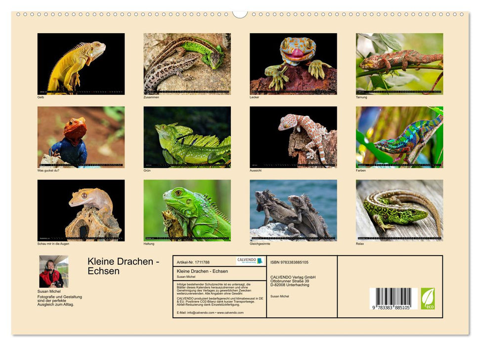 Kleine Drachen - Echsen (CALVENDO Premium Wandkalender 2025)