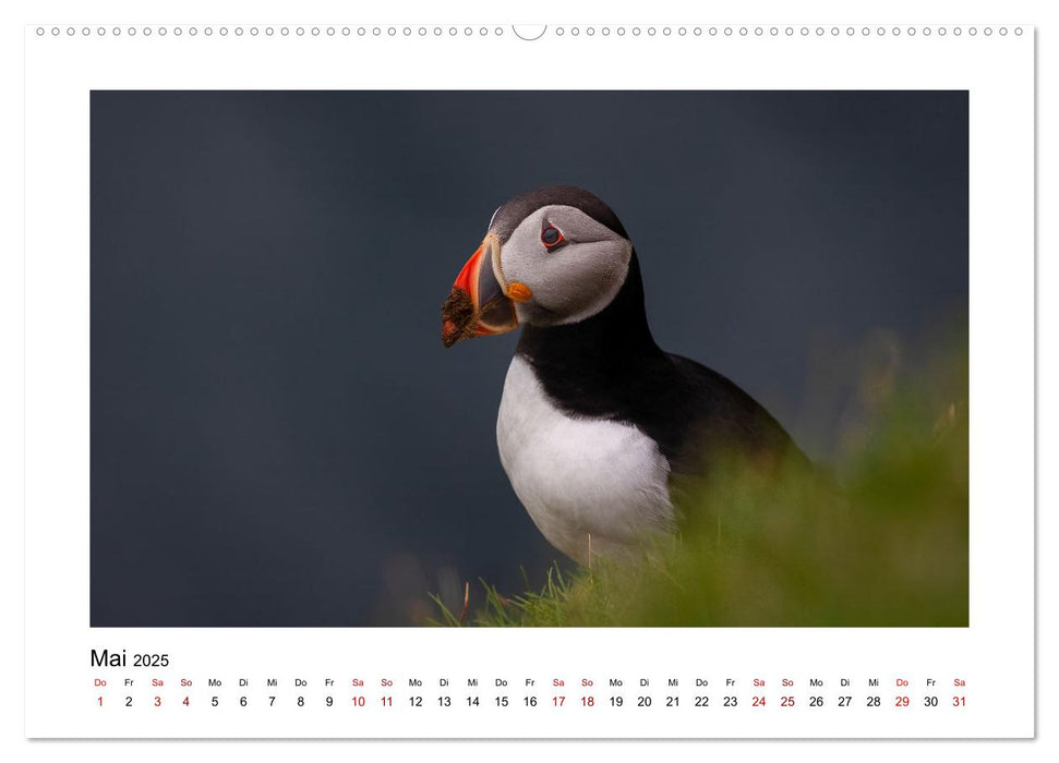 Spitzbergen und der Polarkreis (CALVENDO Premium Wandkalender 2025)