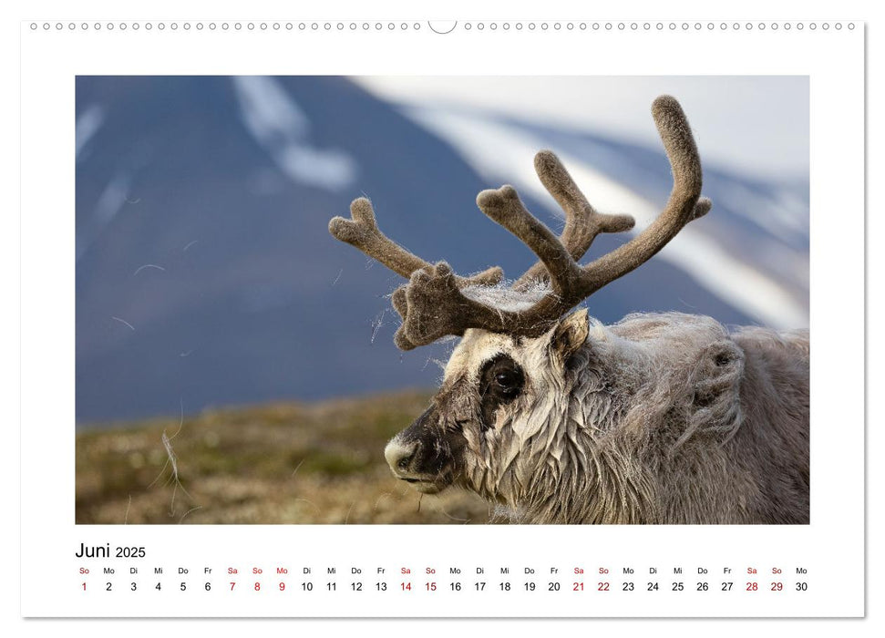 Spitzbergen und der Polarkreis (CALVENDO Premium Wandkalender 2025)