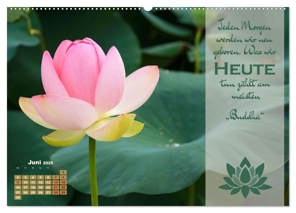 Erleuchtende Worte, Lebensweisheiten von Gautama Buddha by VogtArt (CALVENDO Premium Wandkalender 2025)