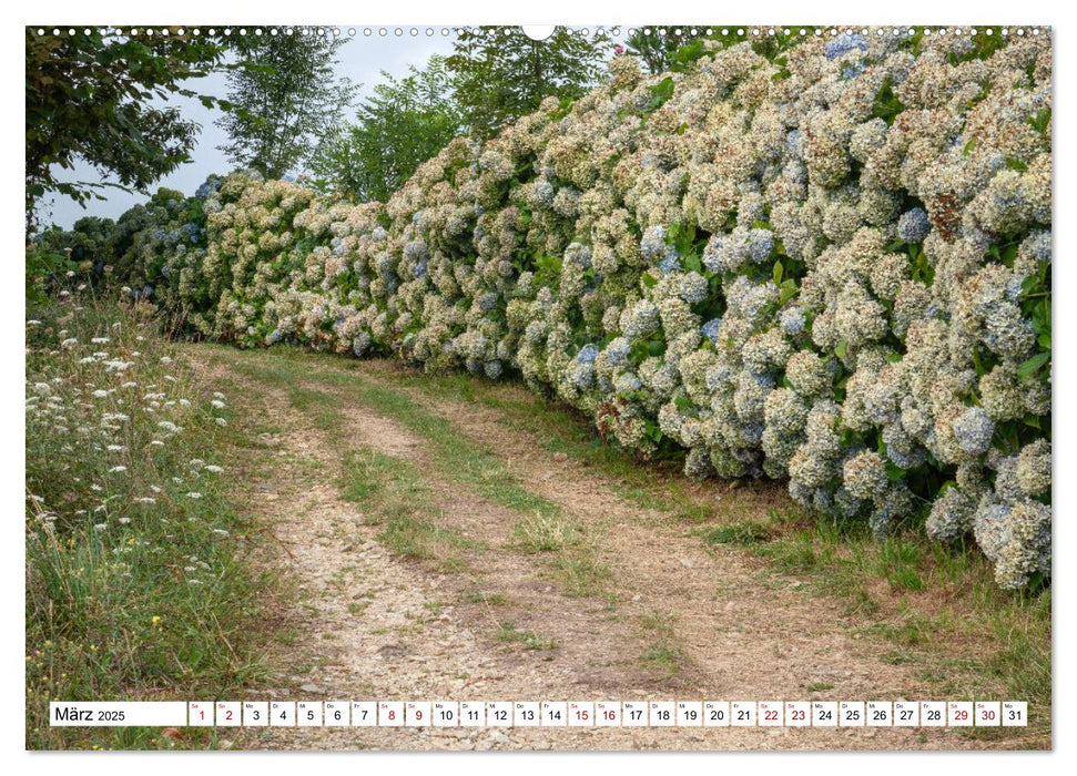 Unterwegs - Camino Primitivo. Zu Fuß auf der ältesten Route des Jakobsweges (CALVENDO Premium Wandkalender 2025)