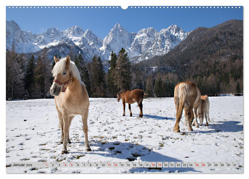 Slowenien - Streifzüge durch atemberaubende Küsten- und Berglandschaften (CALVENDO Premium Wandkalender 2025)