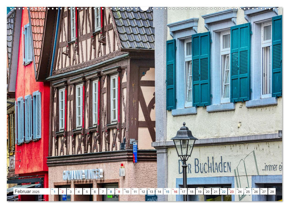 Haslach im Kinzigtal - Die quicklebendige Marktstadt (CALVENDO Wandkalender 2025)