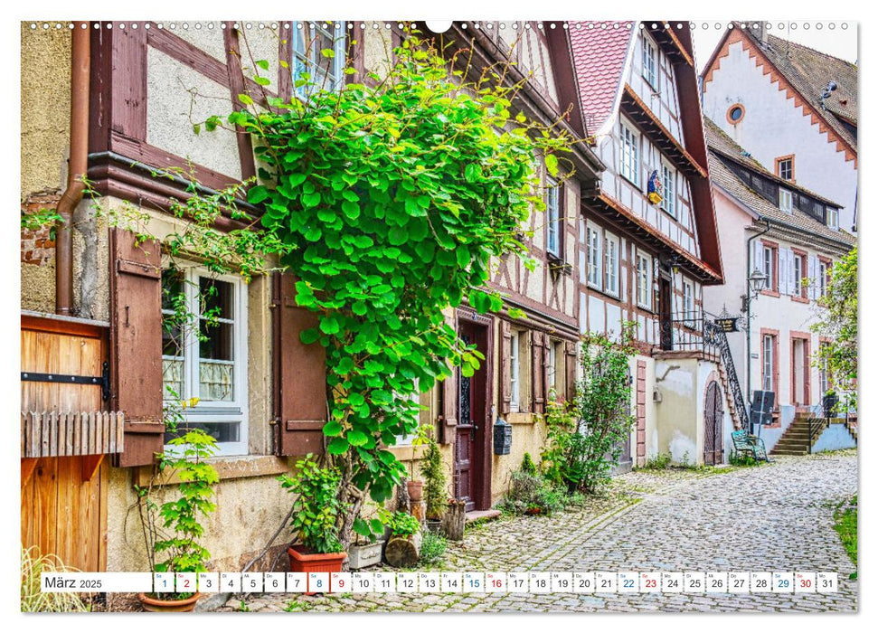 Haslach im Kinzigtal - Die quicklebendige Marktstadt (CALVENDO Wandkalender 2025)