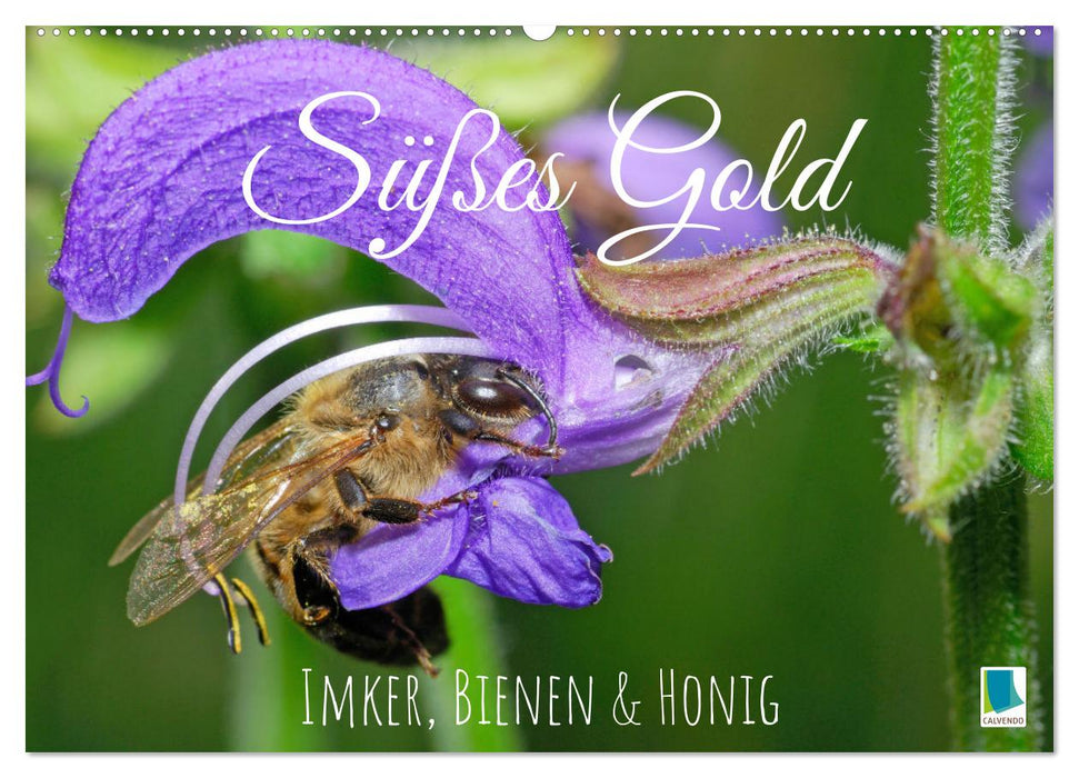 Süßes Gold: Imker, Bienen & Honig (CALVENDO Wandkalender 2025)