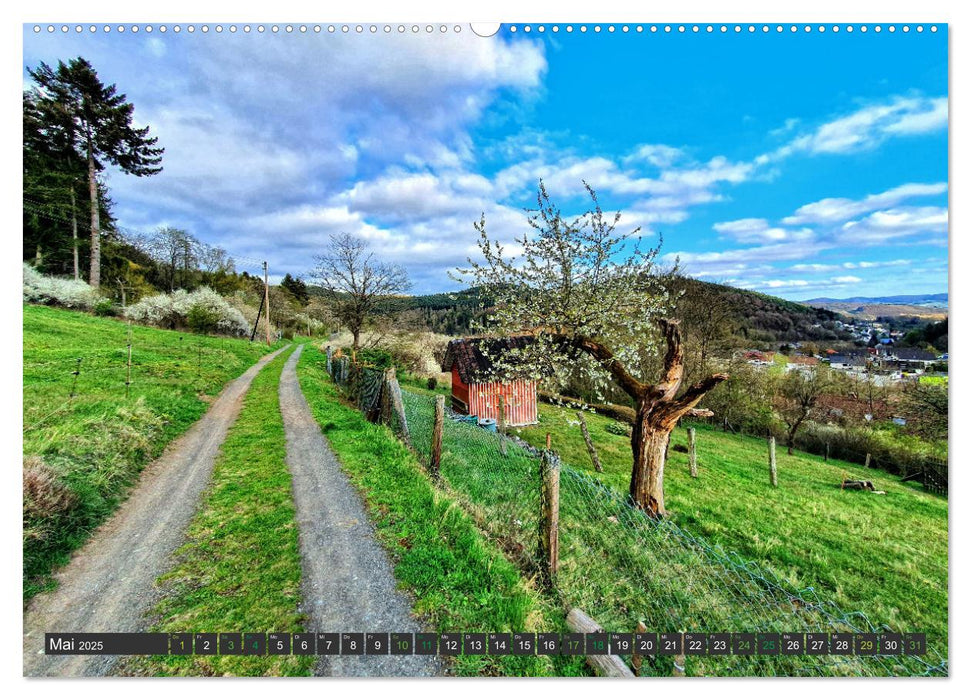 Schönes Biedenkopf Luftkurort in Hessen (CALVENDO Premium Wandkalender 2025)